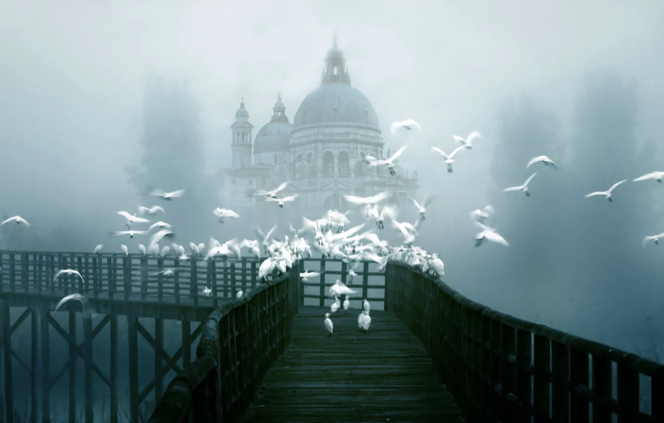 Фото обои птицы, мост, город, туман