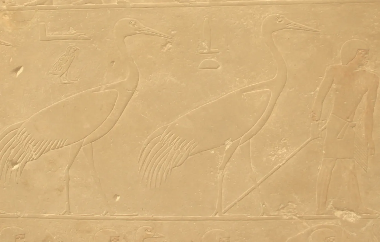 Фото обои птица, камень, человек, текстура, символ, Египет, профиль, bird