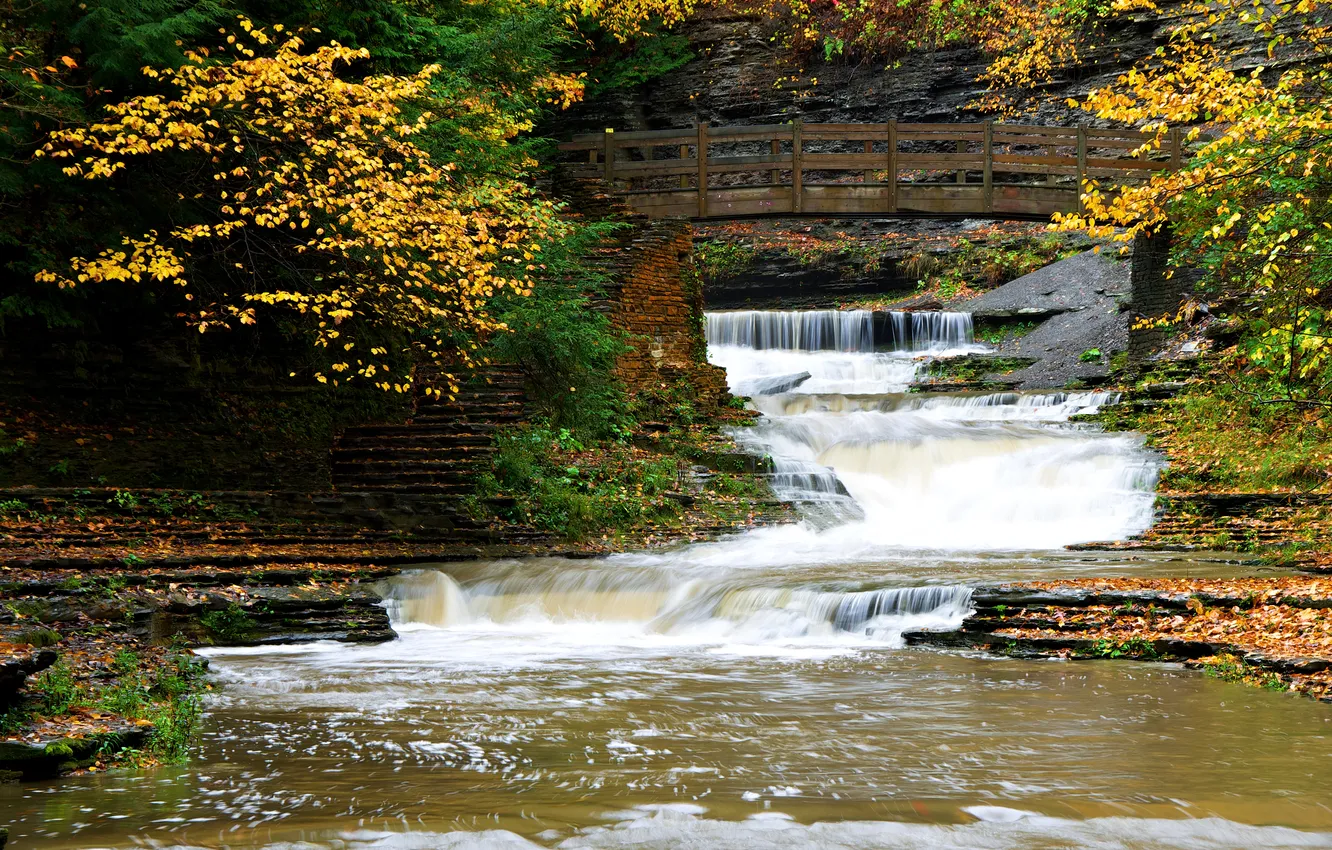 Фото обои осень, листья, деревья, мост, река, скалы, поток, пороги