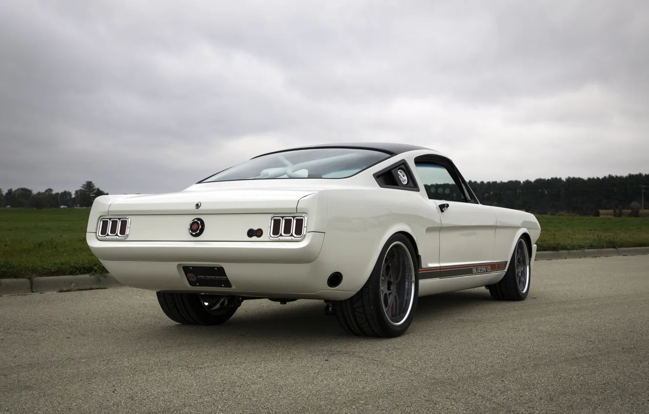 Фото обои Ford, Ford Mustang, Blizzard, 1965, White, Fastback, Side, Rear