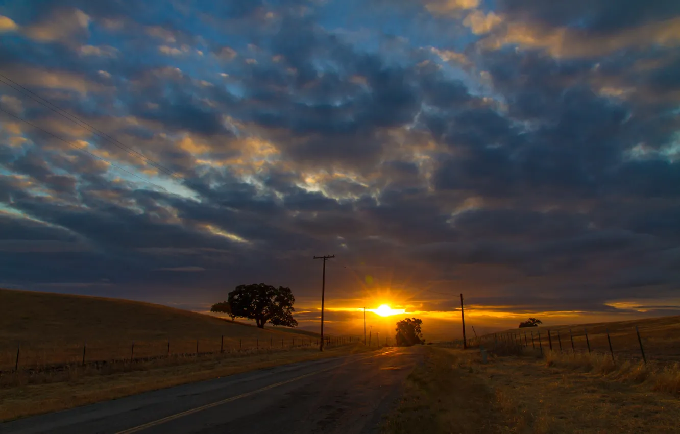 Фото обои дорога, осень, небо, солнце, облака, лучи, закат, дерево