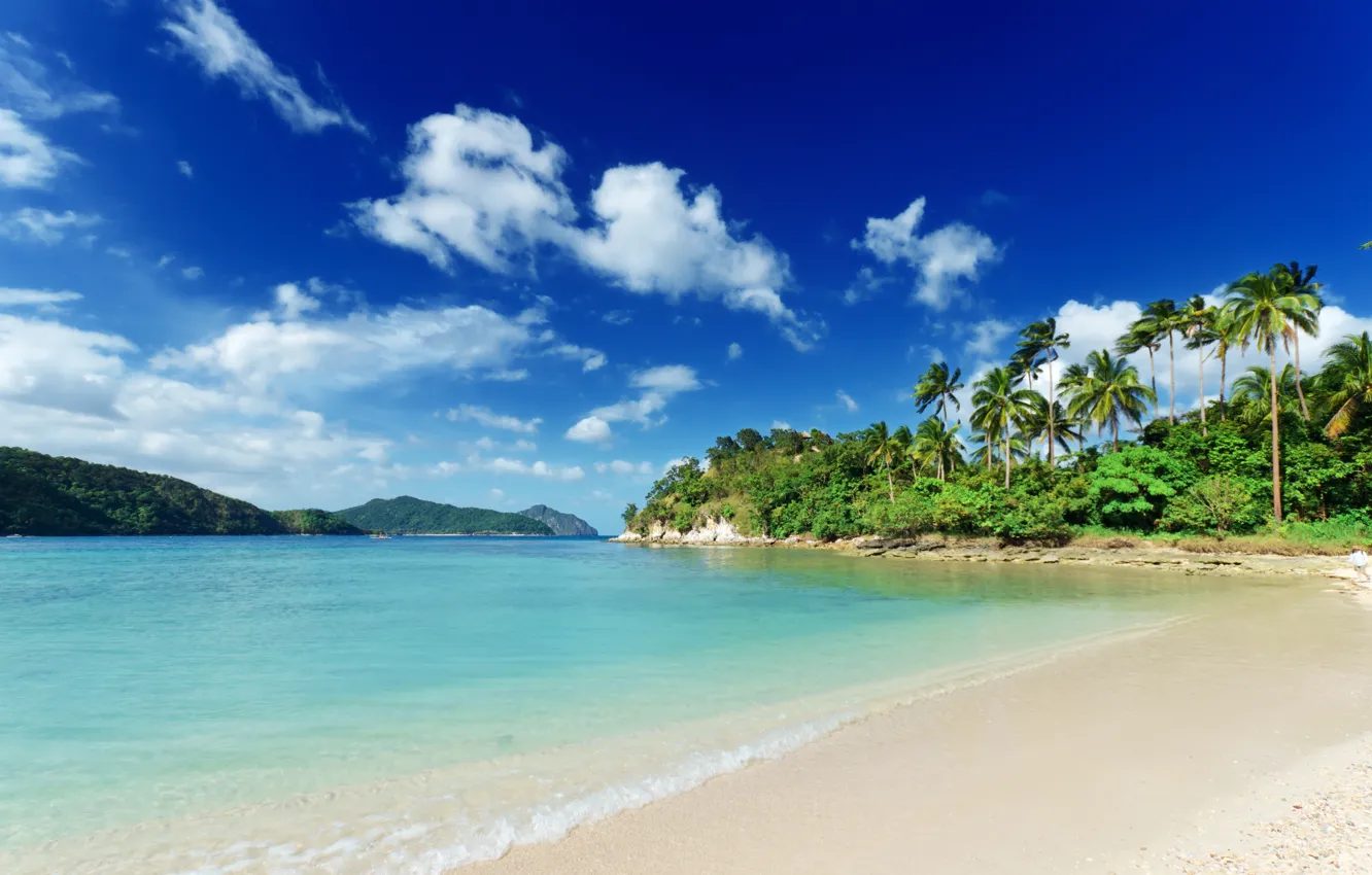 Фото обои песок, тропики, пальмы, океан
