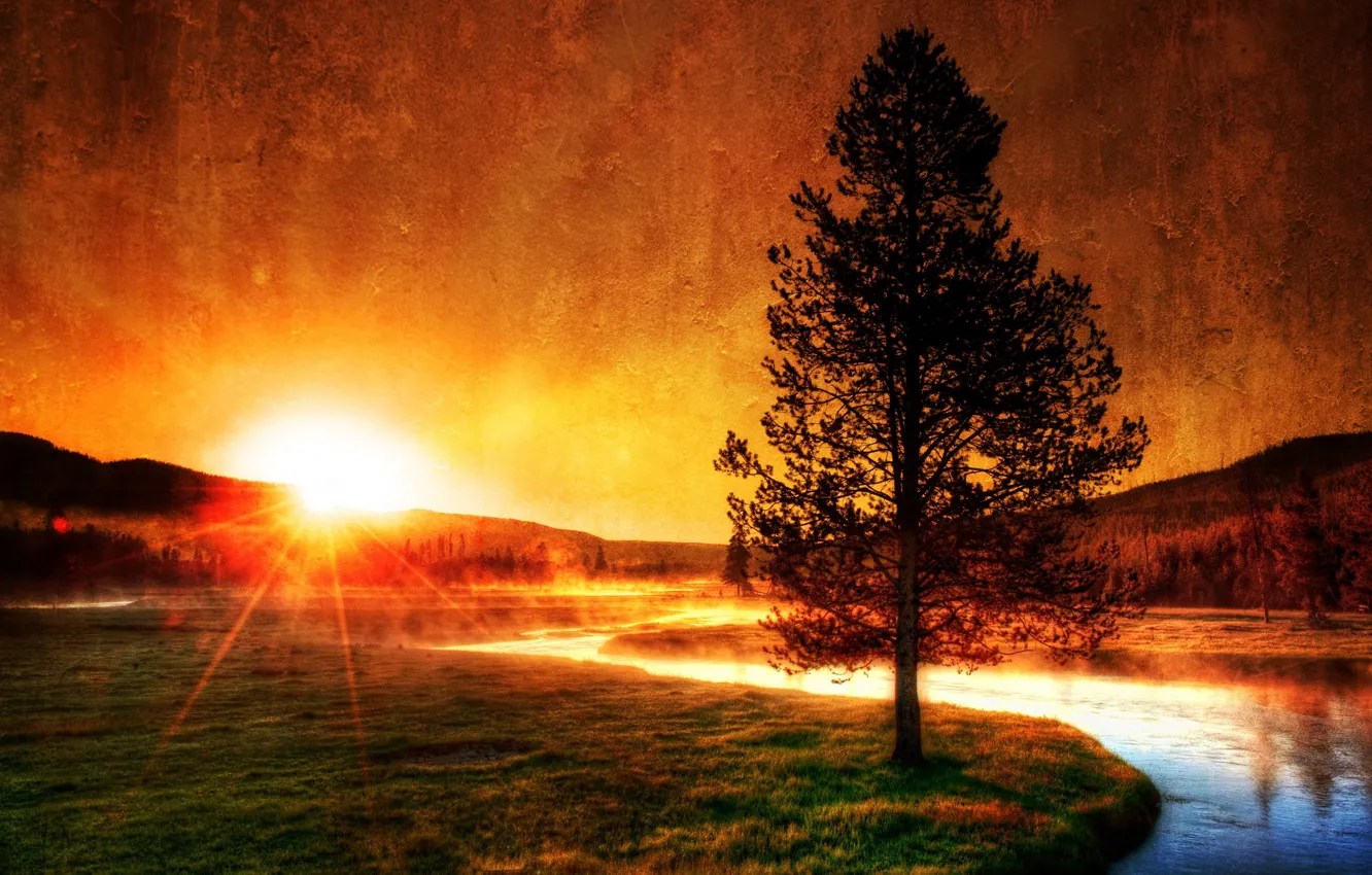 Фото обои солнце, дерево, Река