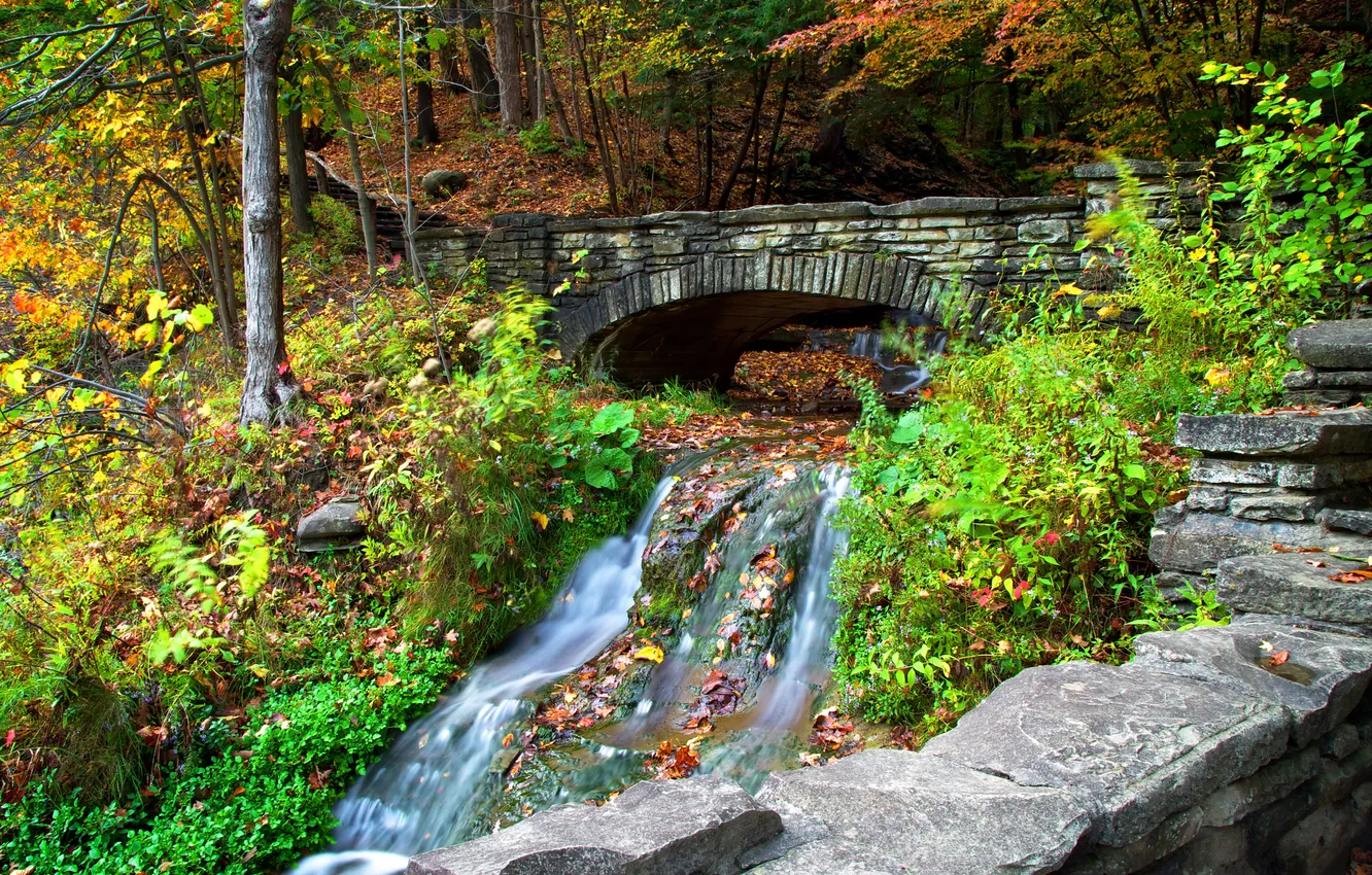 Фото обои осень, лес, листья, деревья, мост, парк, река, камни
