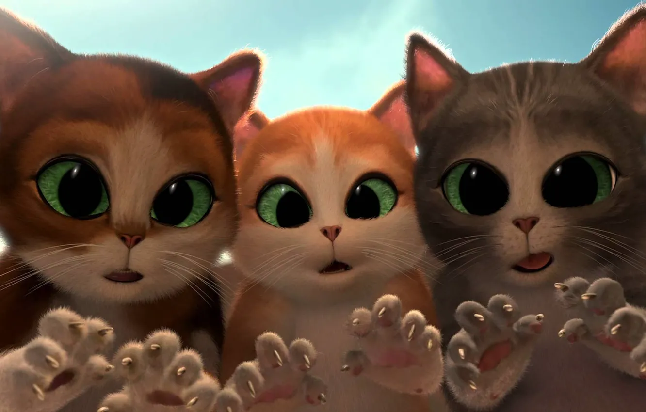 Фото обои коты, мультфильм, удивление, сказка, котята, когти, зеленые глаза, cats