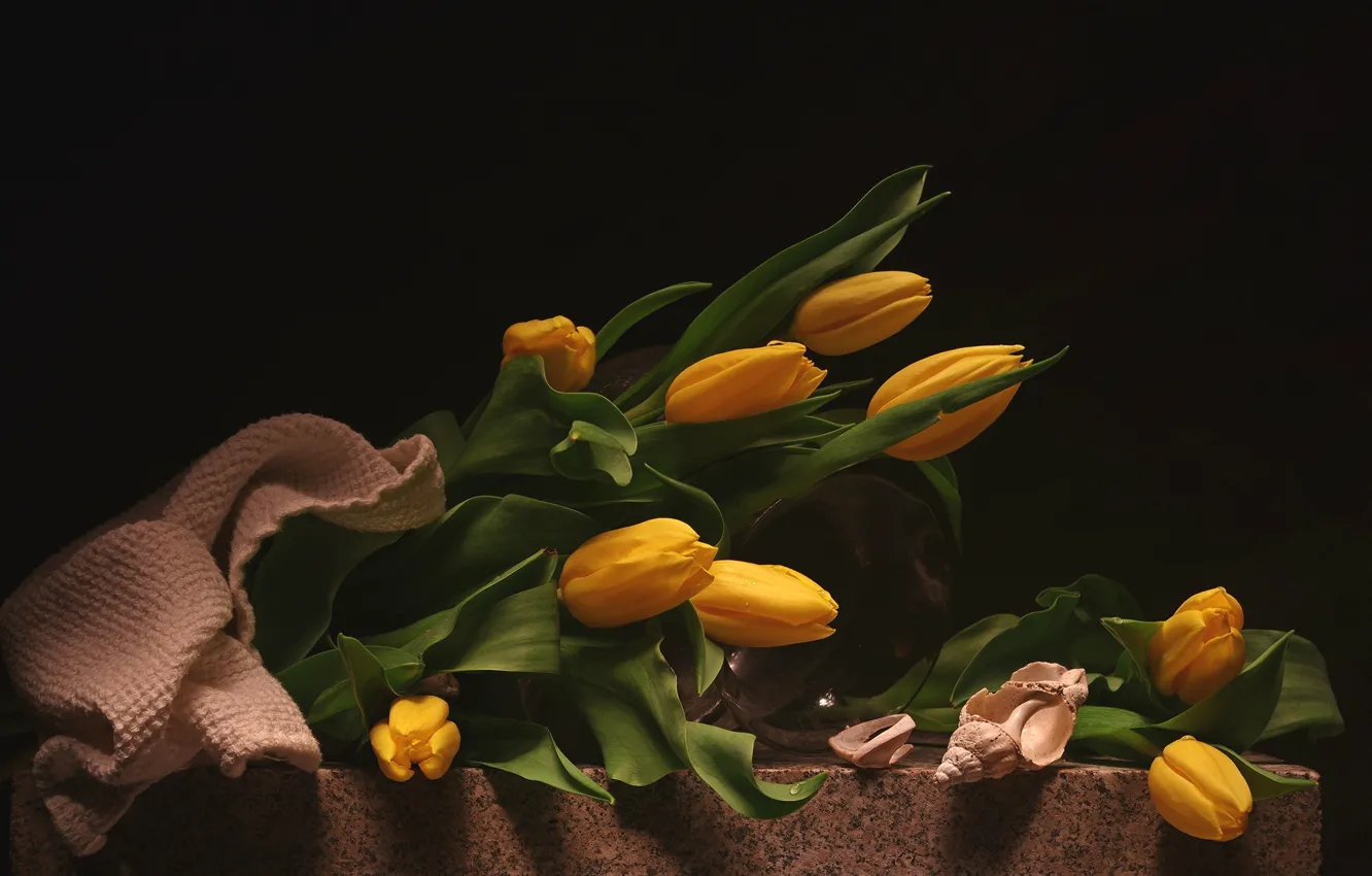 Фото обои желтый, ракушка, тюльпаны