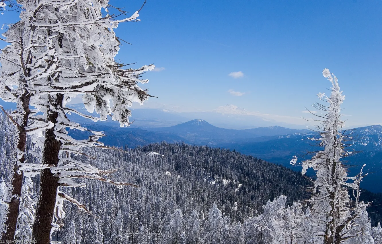 Фото обои зима, лес, Горы