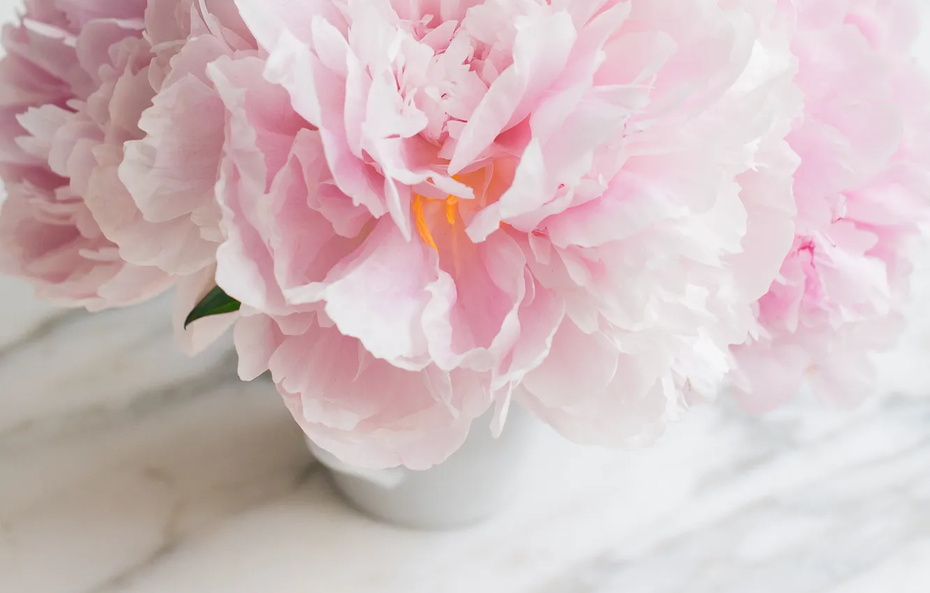 Фото обои цветы, букет, мрамор, pink, flowers, пионы, peonies, tender