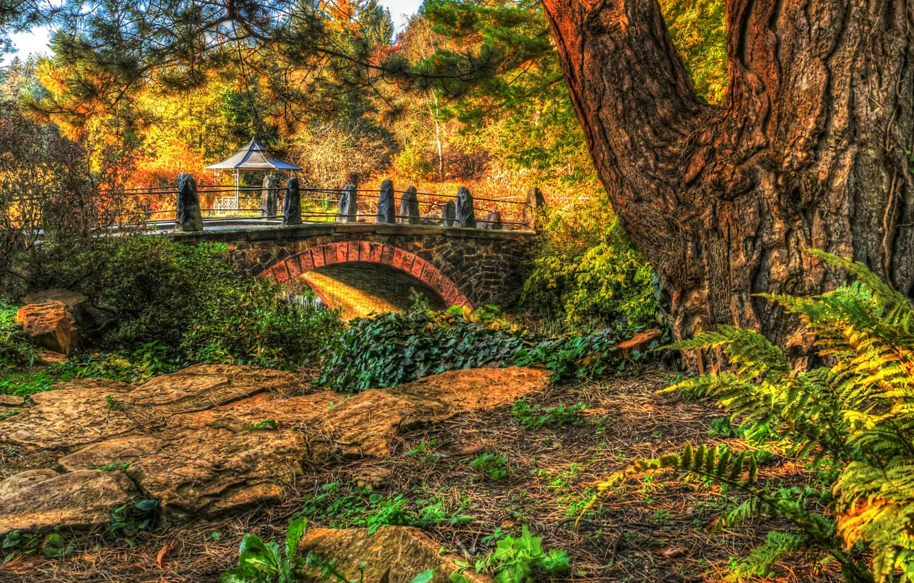 Фото обои осень, деревья, мост, парк, HDR, беседка, кусты