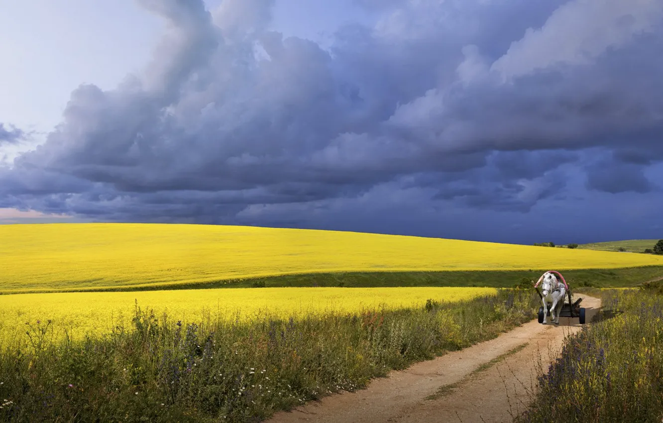 Фото обои дорога, поле, небо, облака, тучи, конь, лошадь, телега