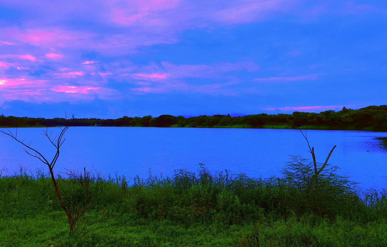 Фото обои Sky, Grass, Water, Sunrise, Dawn, Morning, Lake, Bush