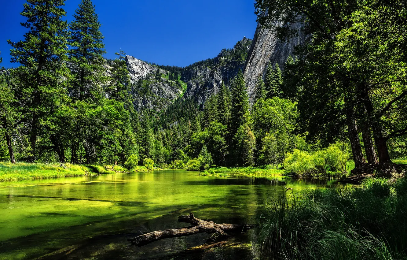 Фото обои деревья, горы, река, Калифорния, Йосемити, California, Yosemite National Park, Сьерра-Невада