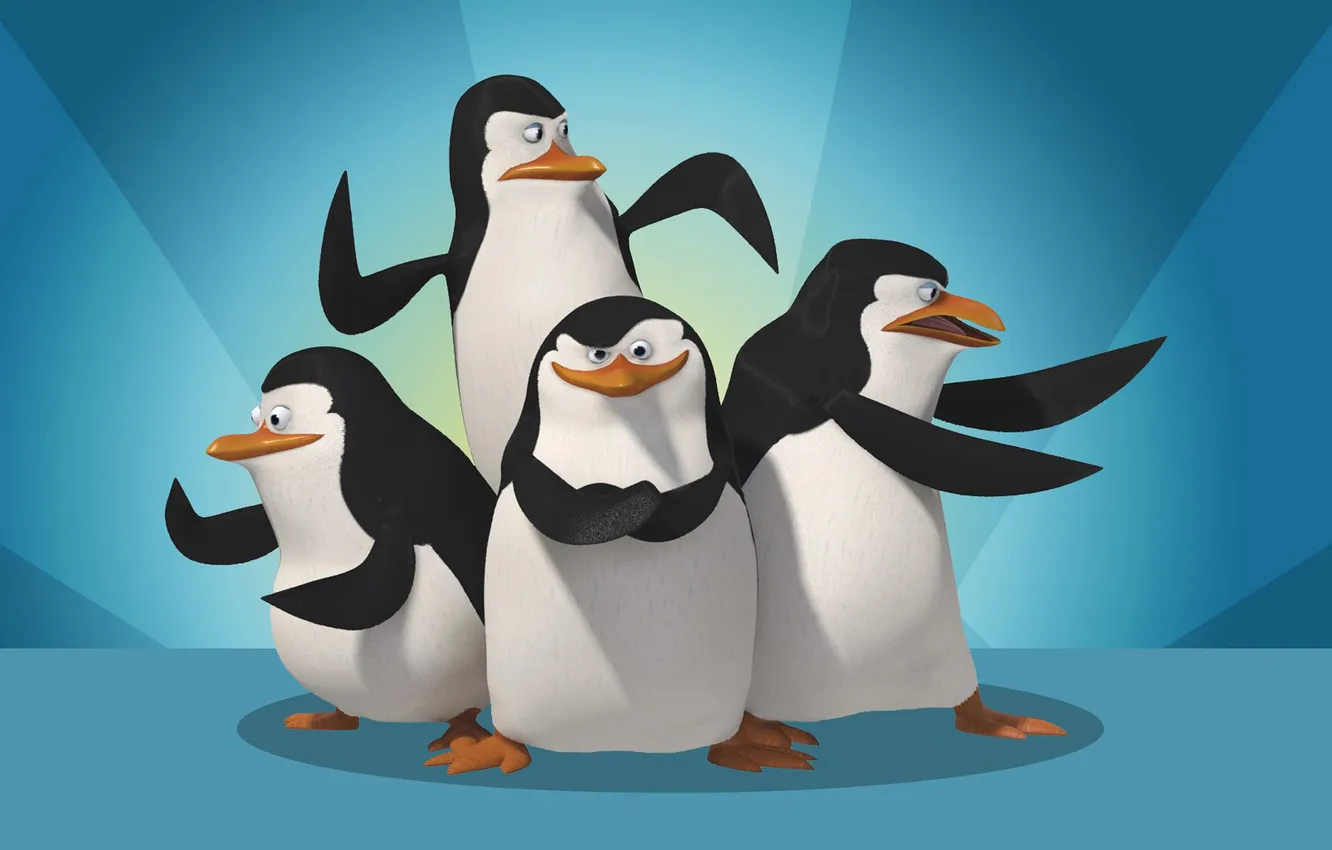 Фото обои Madagascar, четыре, penguins, The Penguins madagascar