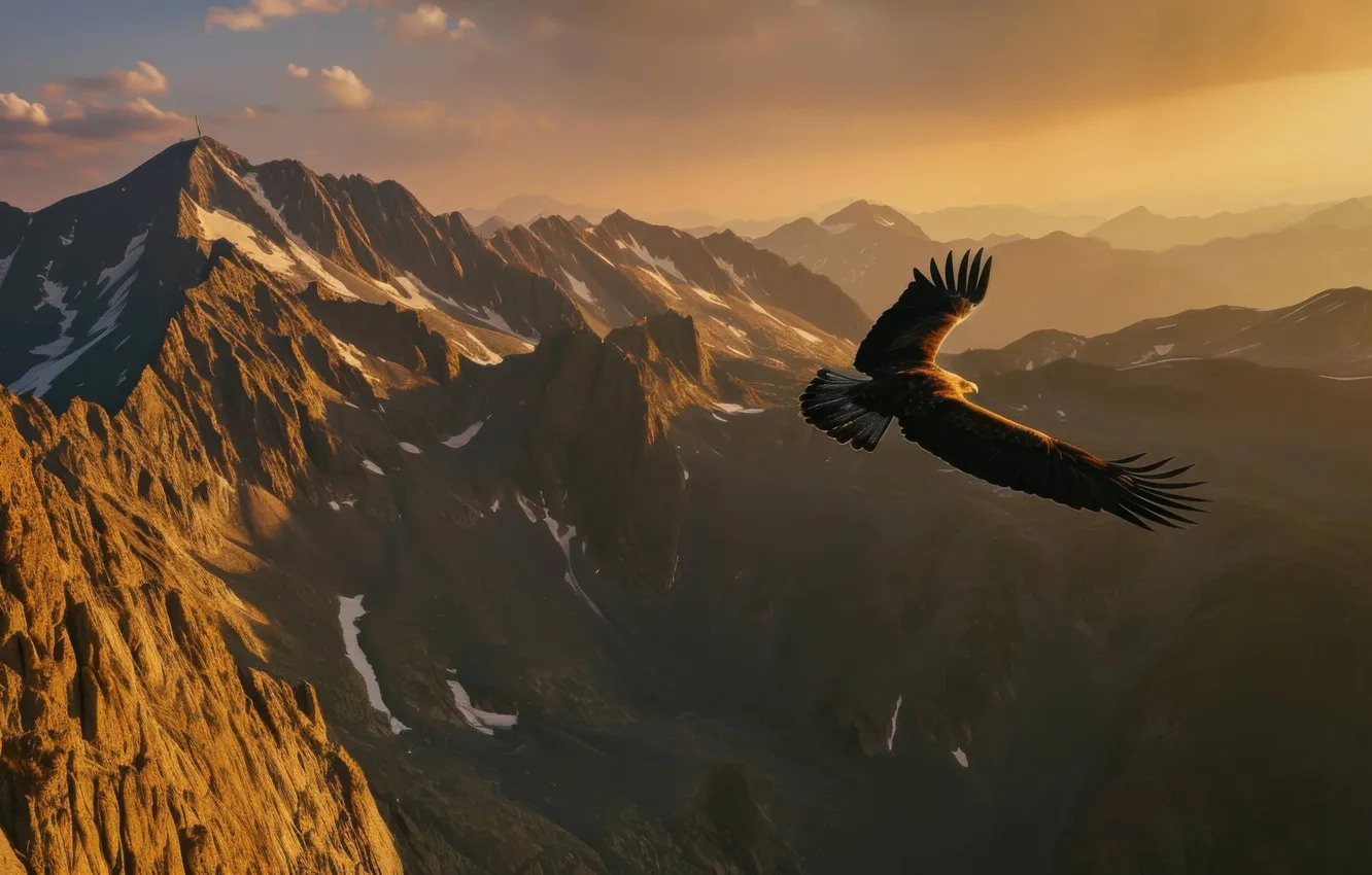 Фото обои Eagle, Flight, Landscape, Wings