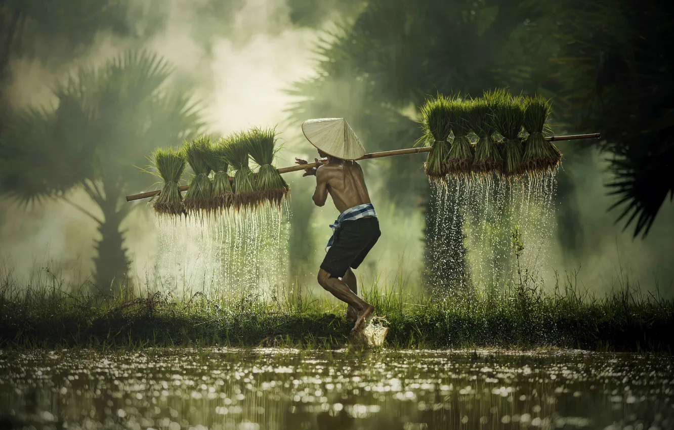 Фото обои man, child, asian, villager