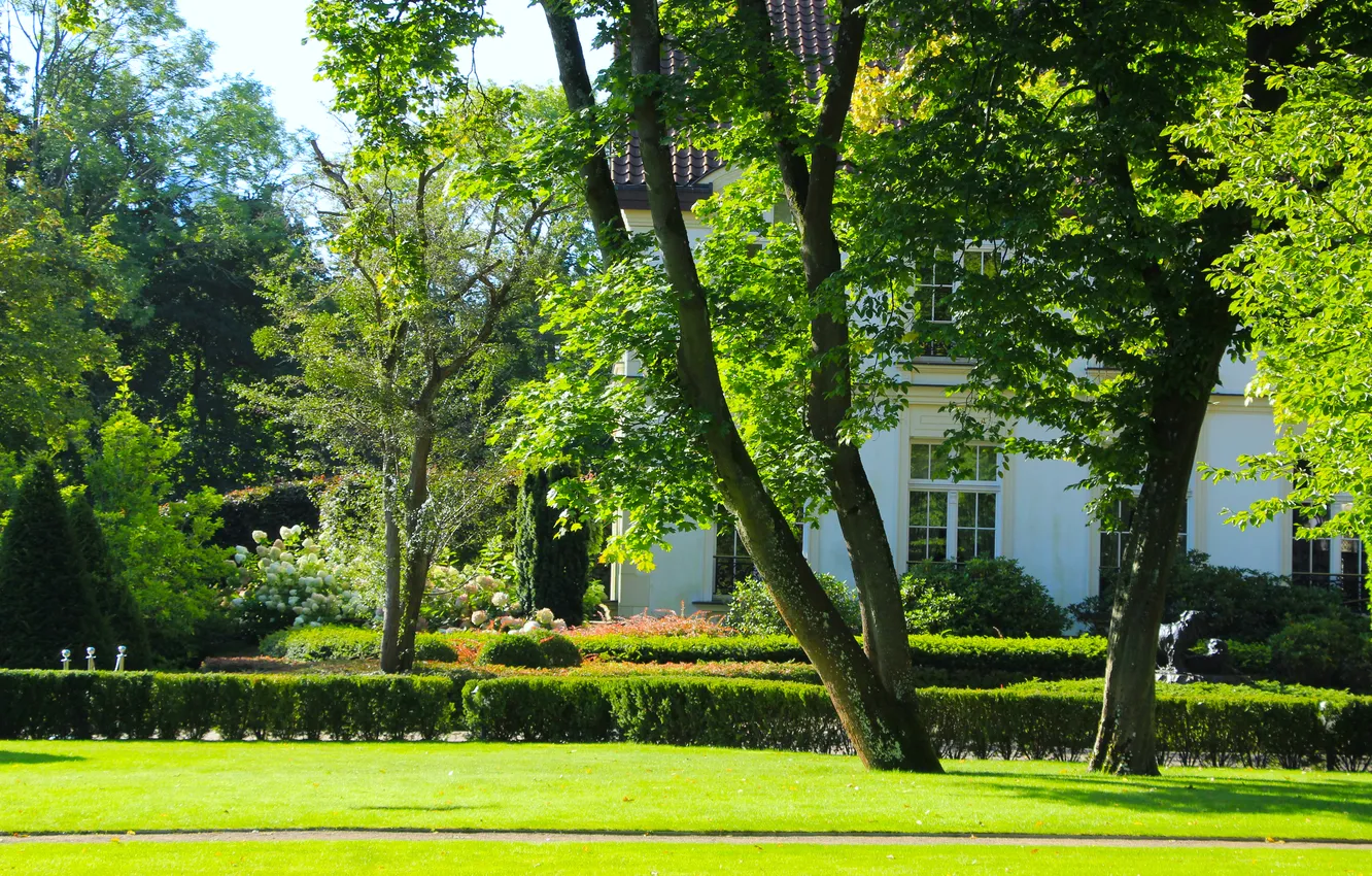 Фото обои park, tree, garden, lawn