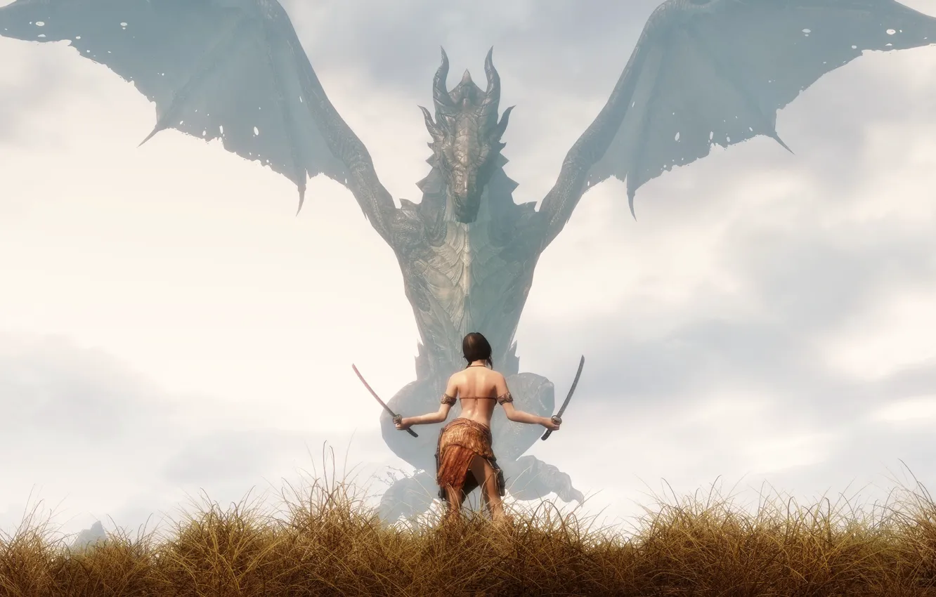 Фото обои трава, девушка, туман, оружие, дракон, The Elder Scrolls V Skyrim