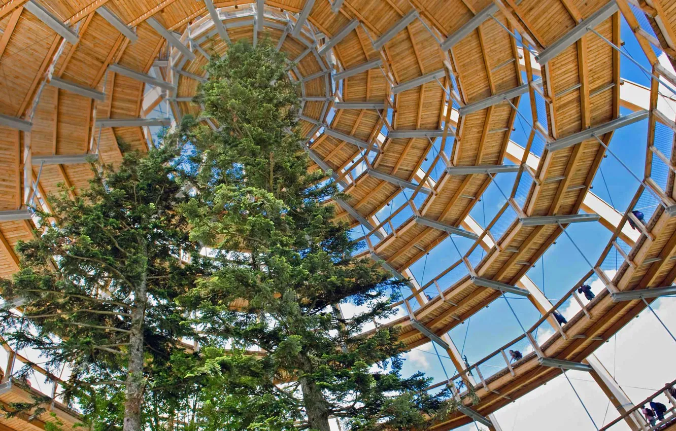 Фото обои Германия, Национальный парк, Баварский лес, Treewalk