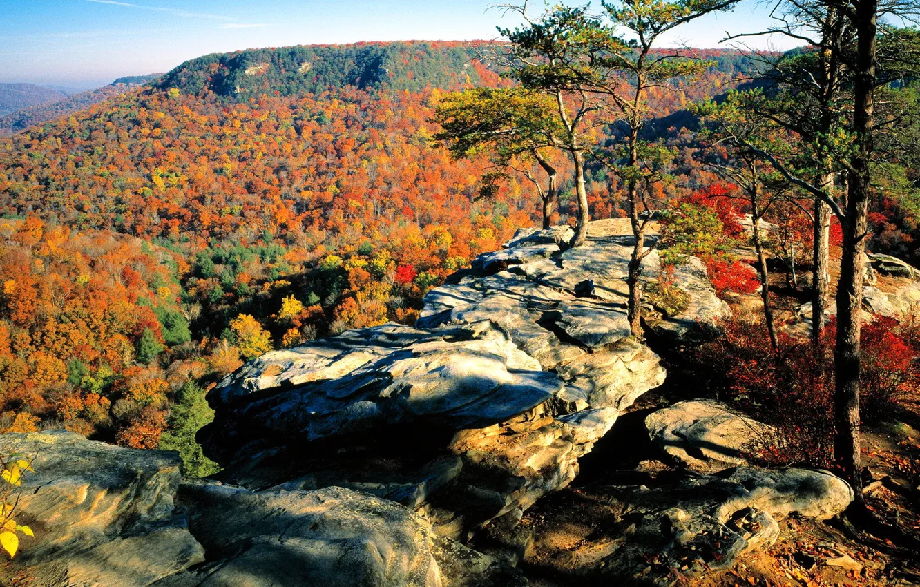 Фото обои осень, лес, небо, листья, деревья, горы, скала