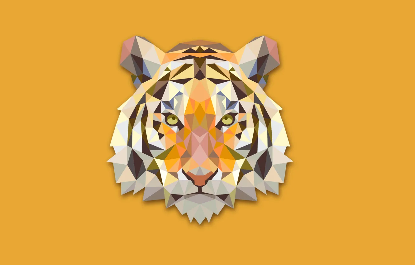 Фото обои абстракция, тигр, минимализм, голова, tiger