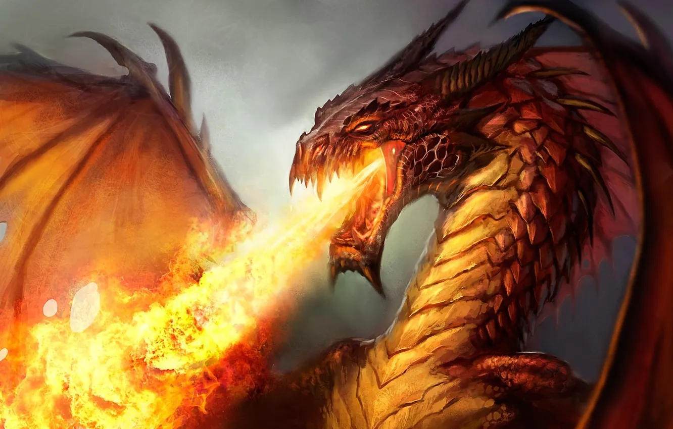 Фото обои огонь, пламя, дракон, крылья, арт, злой