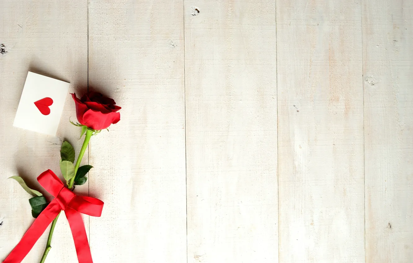 Фото обои цветок, праздник, роза, лента, сердечко, бантик, открытка, День Святого Валентина