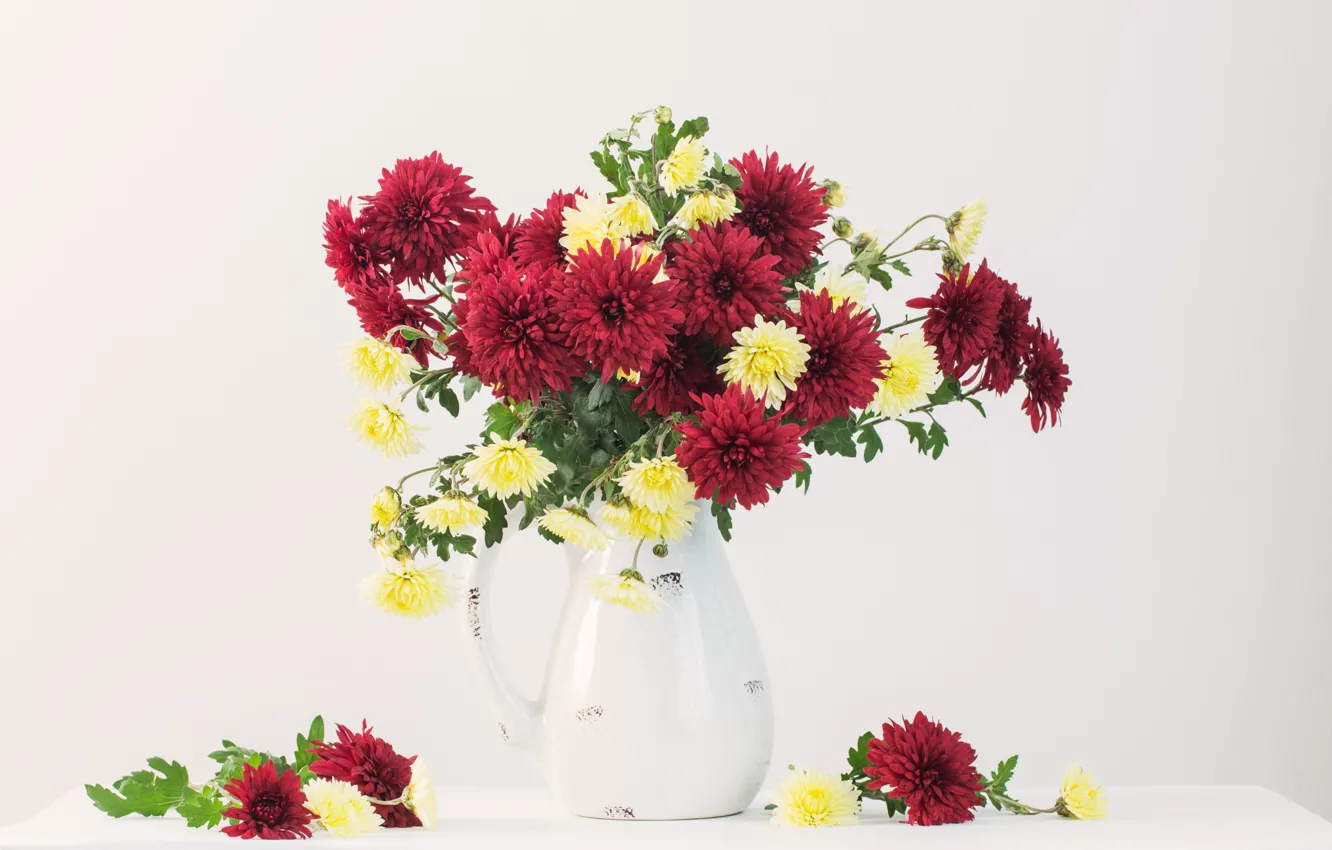 Фото обои цветы, ваза, Натюрморт, хризантемами, Maya Kruchenkova