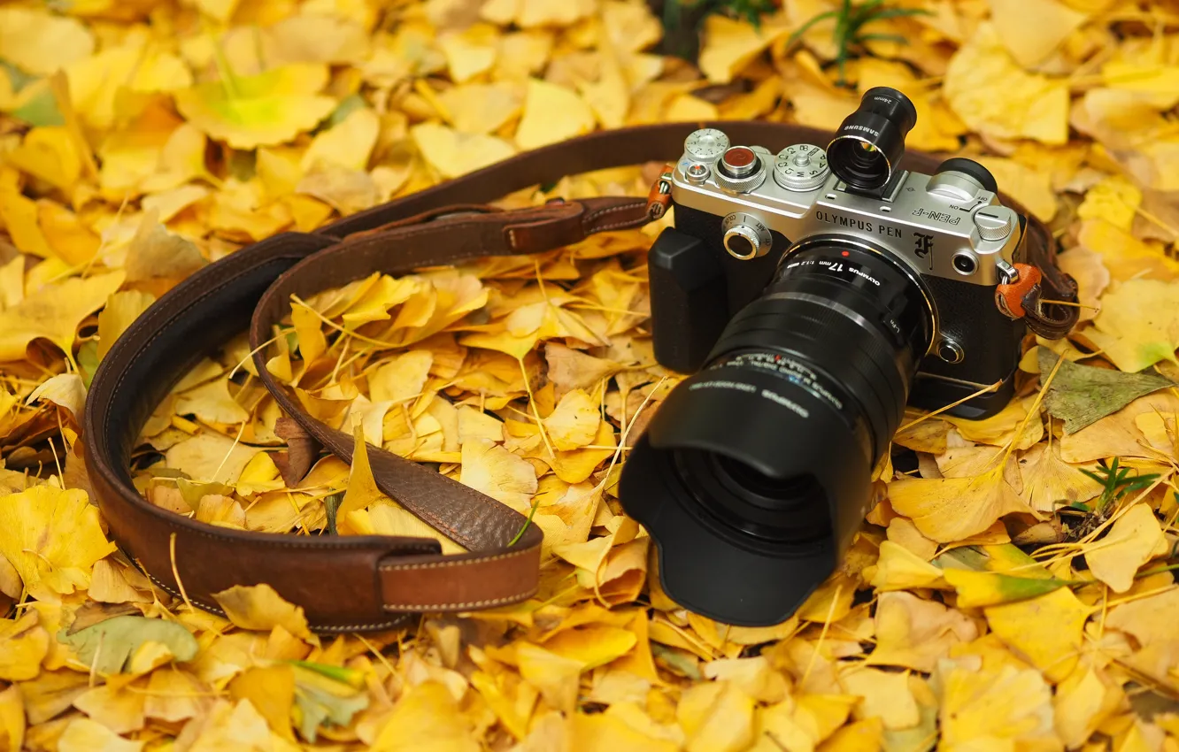 Фото обои осень, листья, фотоаппарат, Olympus