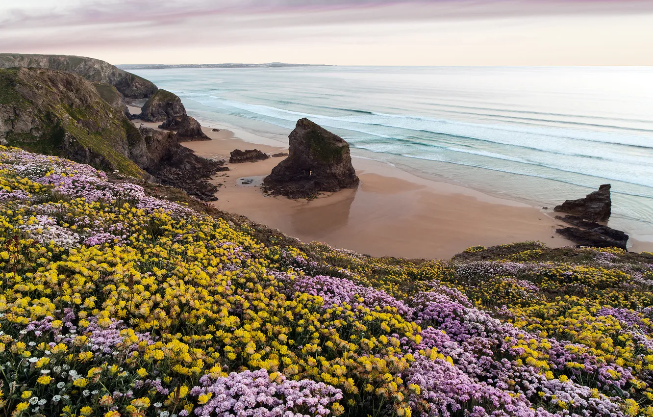 Фото обои море, пляж, цветы, обрыв, скалы, Tiekie beach