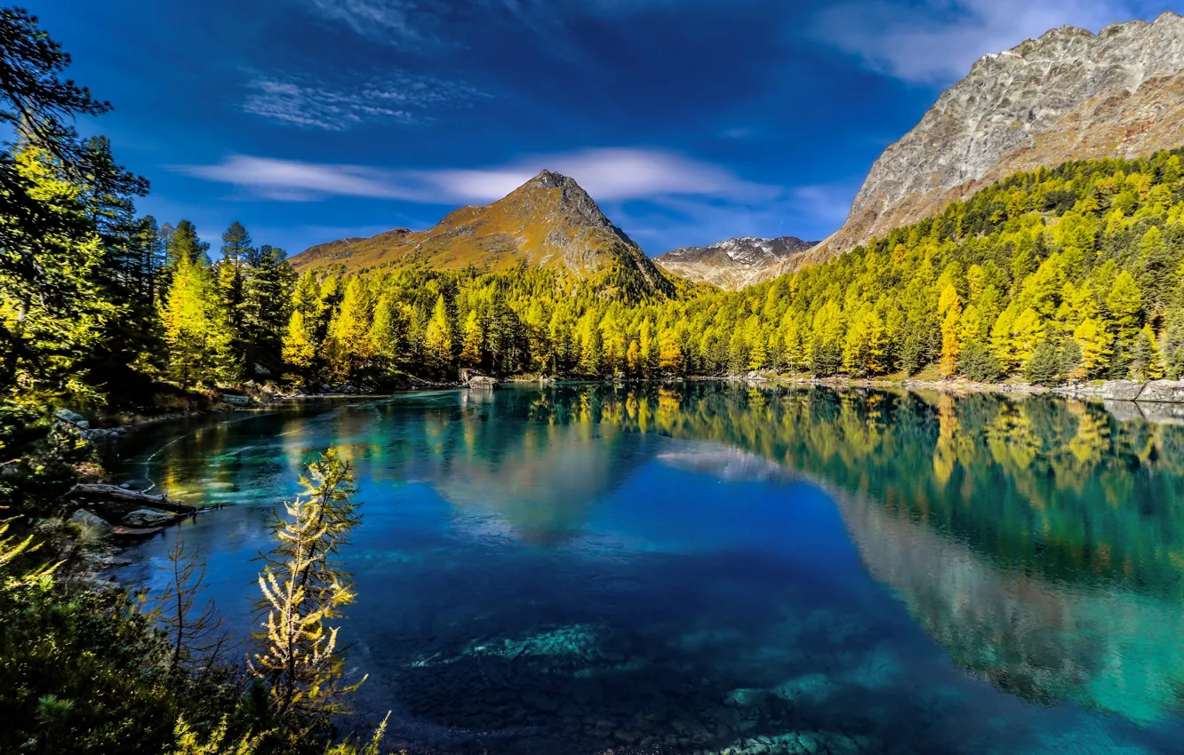 Фото обои осень, лес, горы, озеро, отражение, Швейцария, Альпы, Switzerland