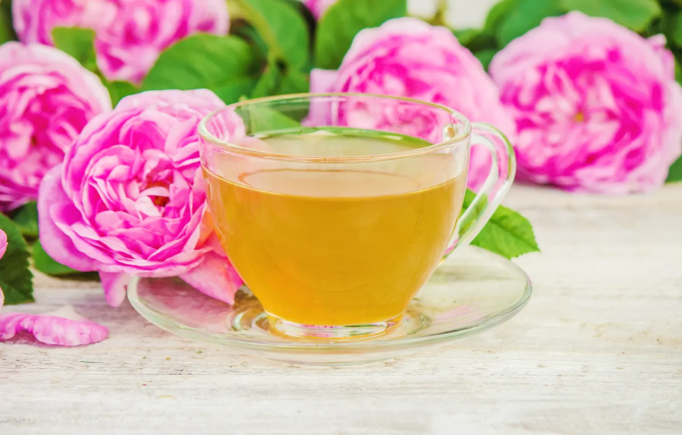 Фото обои цветы, розы, лепестки, розовые, wood, pink, flowers, cup