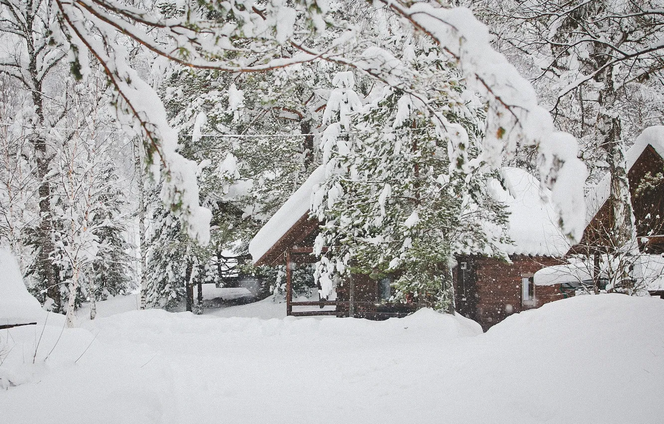Фото обои снег, Зима, сказка, домик, путешествие, Белокуриха, зимняясказка, домвгорах