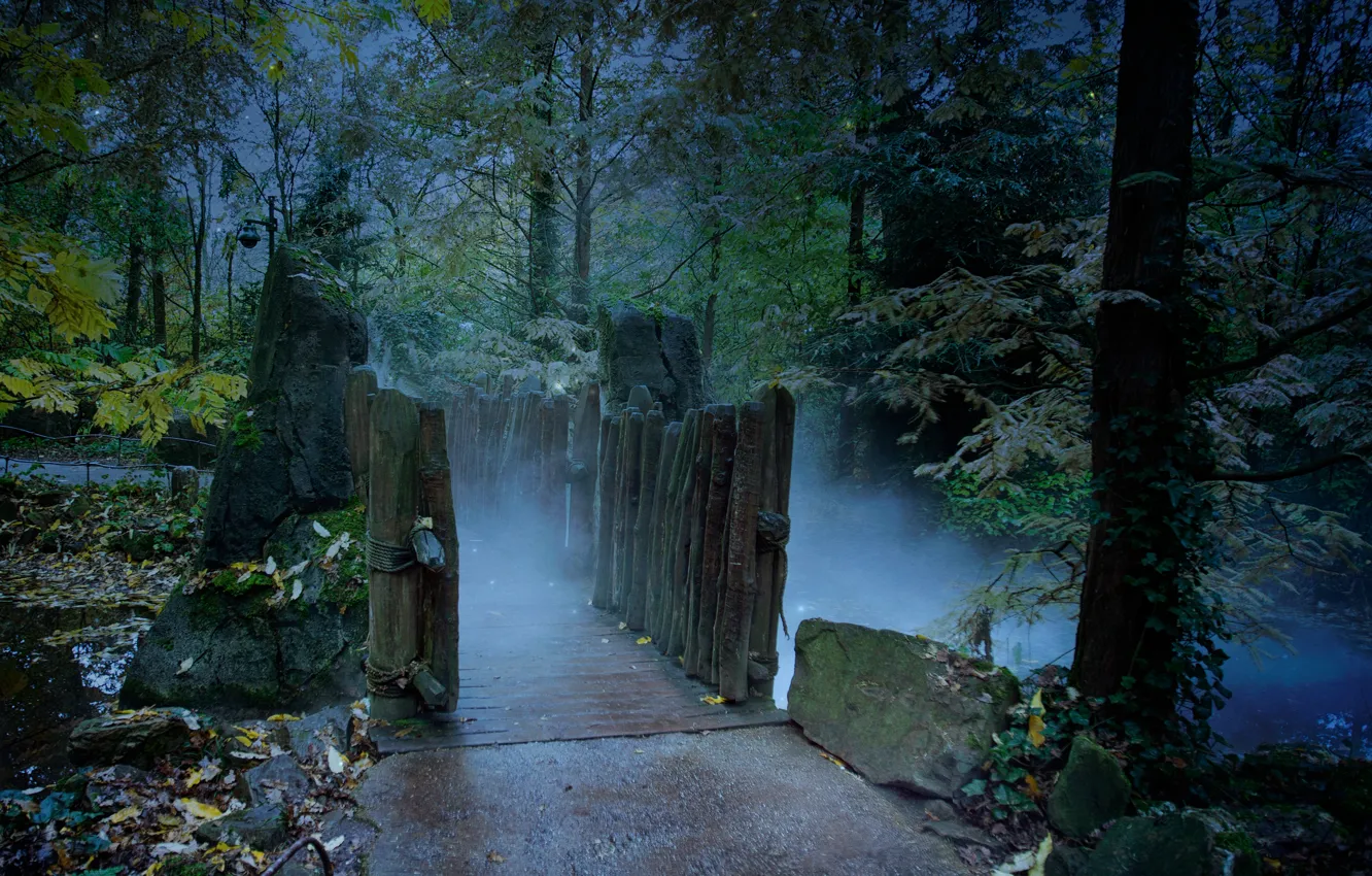 Фото обои осень, лес, ночь, туман, forest, мостик, bridge, night
