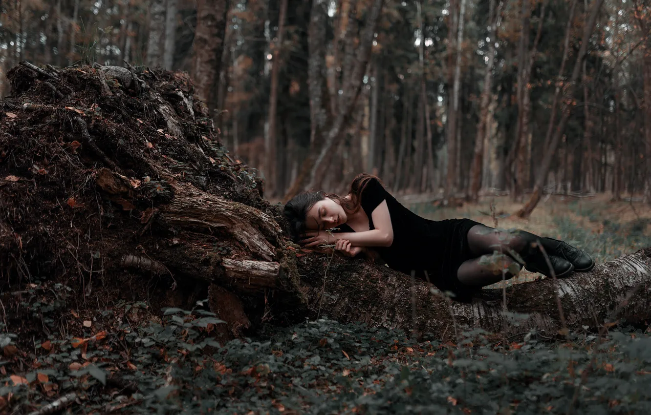 Фото обои лес, девушка, лежит, ножки, Ульяна Найденкова, Ксения Чапкаева