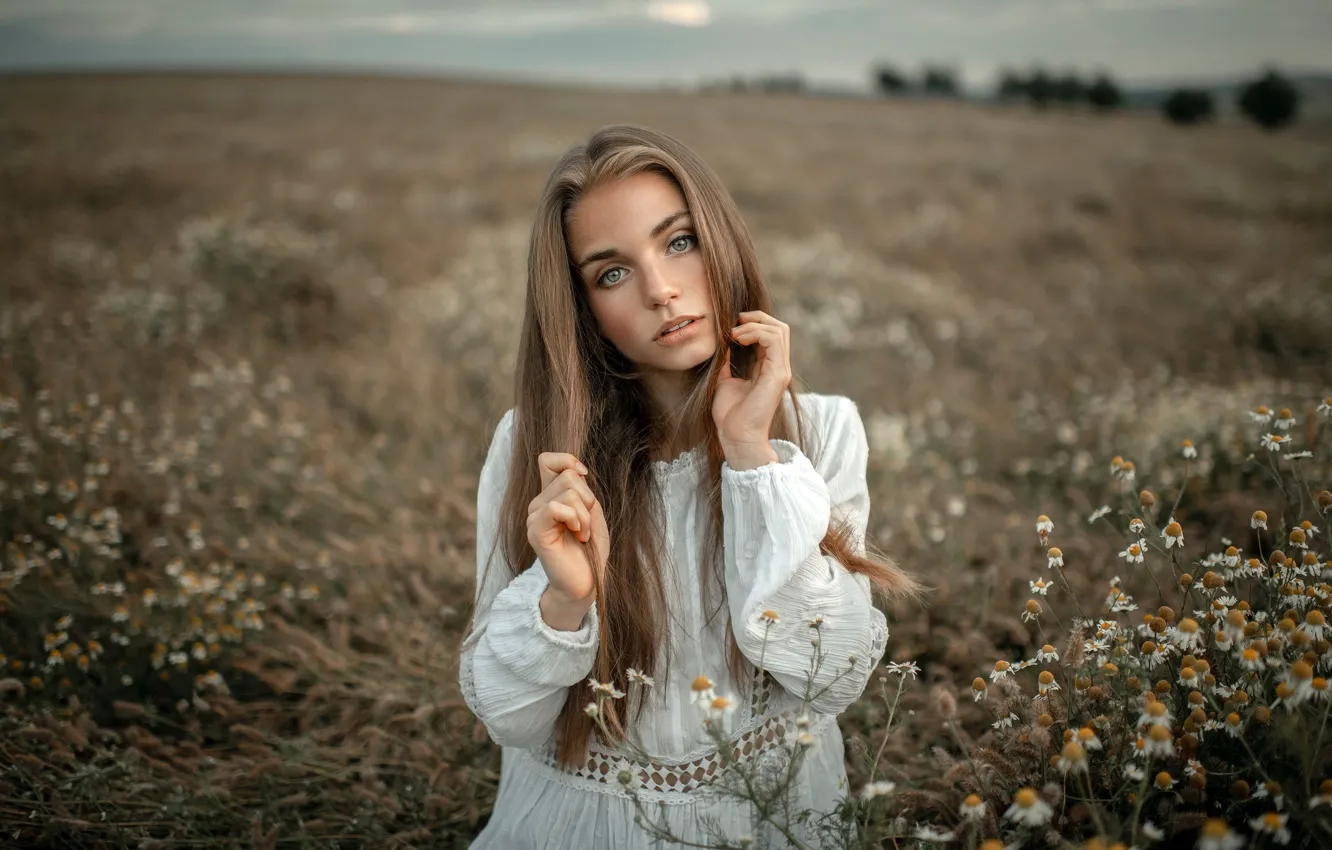 Фото обои поле, взгляд, цветы, природа, поза, модель, портрет, ромашки