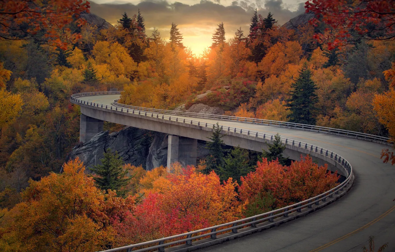 Фото обои дорога, осень, лес, мост