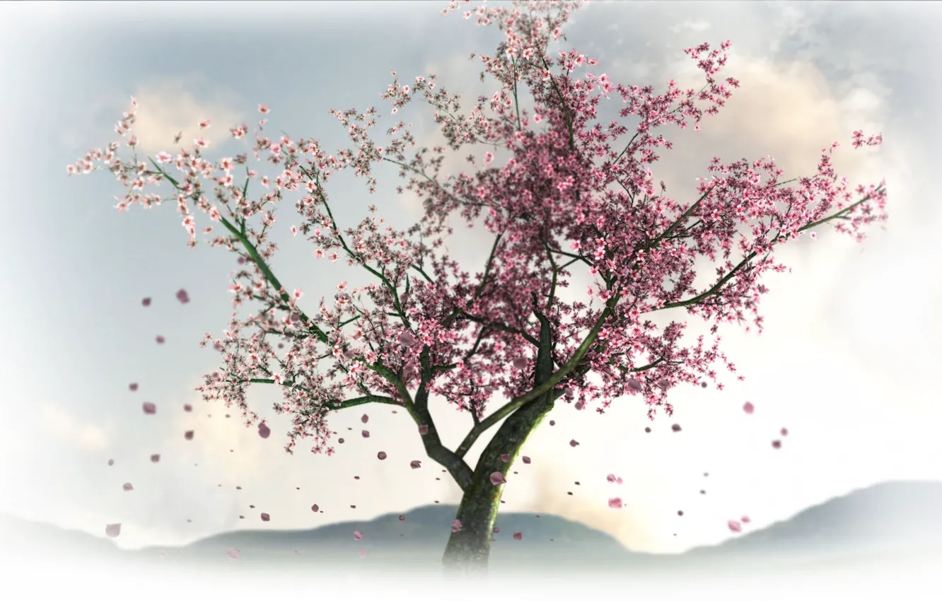 Фото обои цветы, дерево, весна, сакура