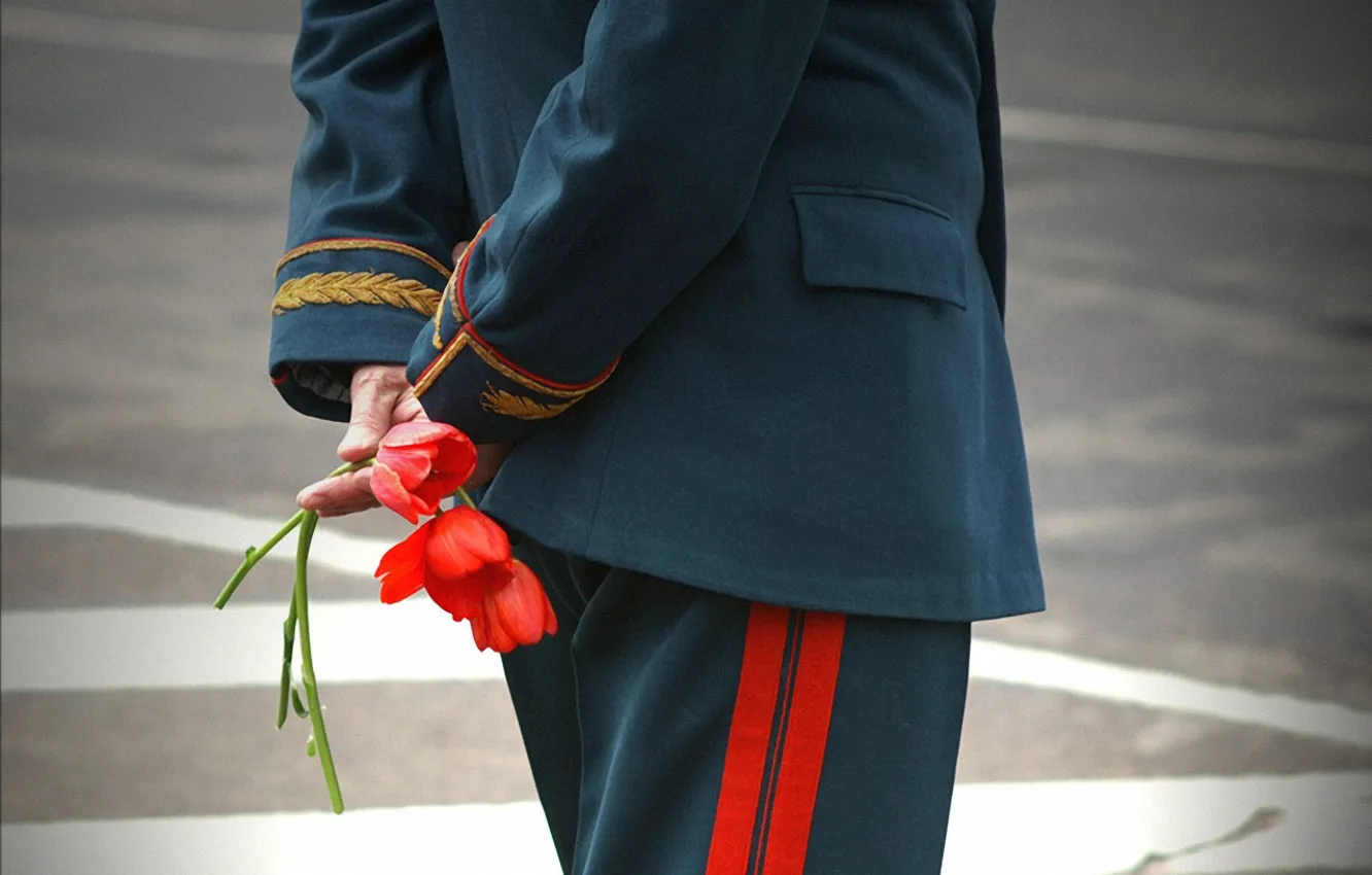 Фото обои цветы, 9мая, день победы, ветеран