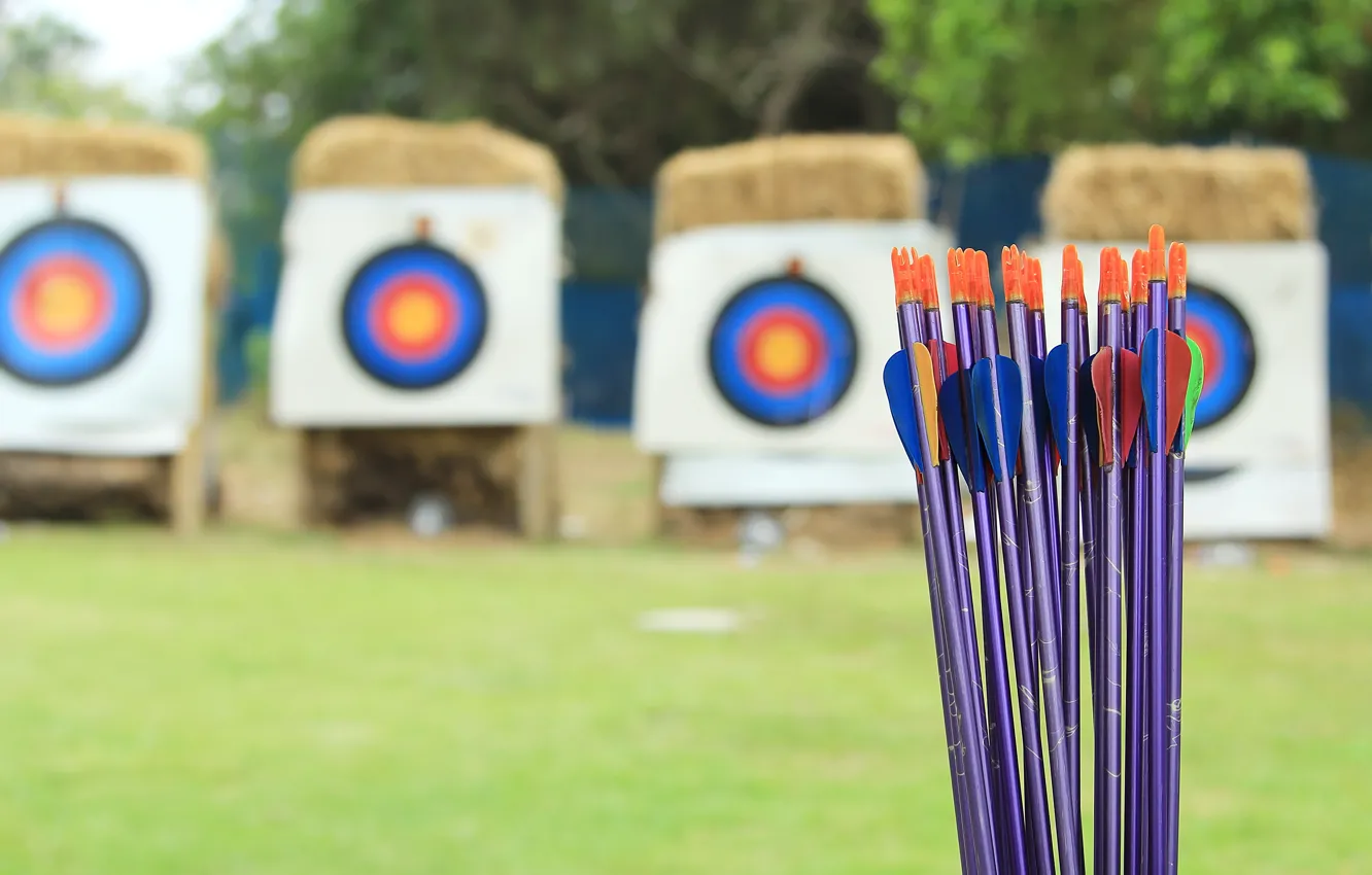 Фото обои arrows, training, archery, target shooting