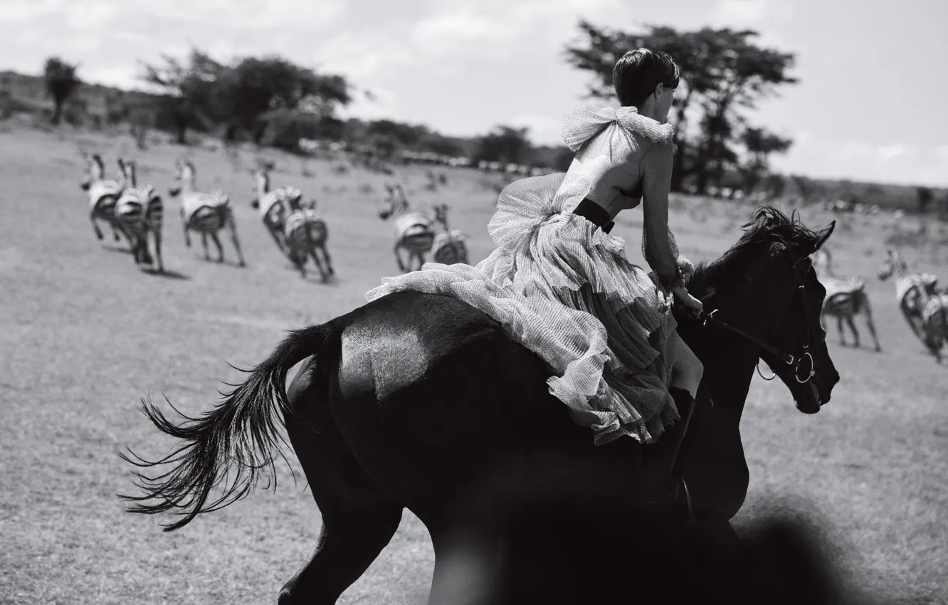 Фото обои поле, девушка, модель, лошадь, сапоги, платье, черно-белое, наездница