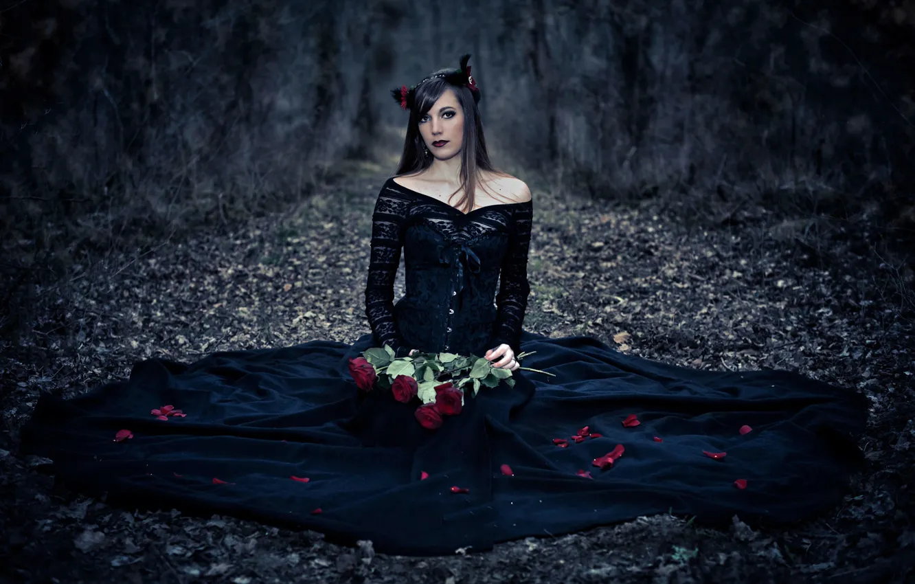 Фото обои девушка, розы, лепестки, платье, в чёрном, Garcia Emmanuel