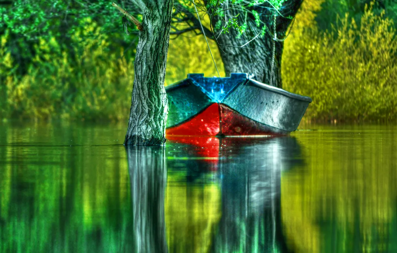 Фото обои green, forest, landscape, lake, boat, boating, hdri