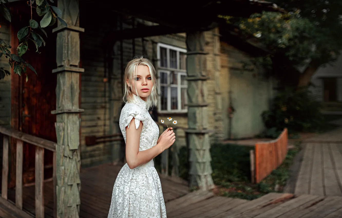 Фото обои Девушка, Взгляд, Ромашки, Платье, Белое, Маша Сидорова