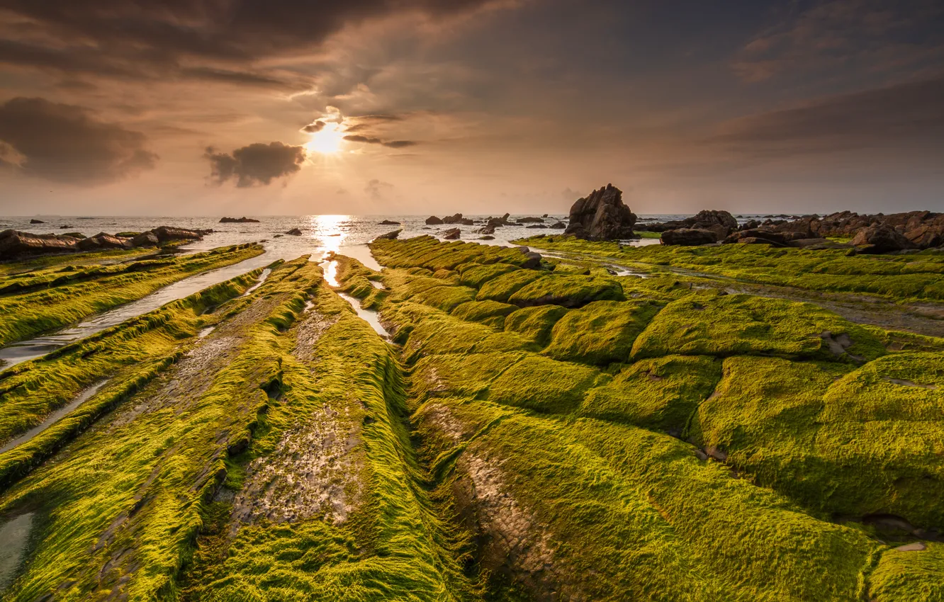 Фото обои море, скалы, берег