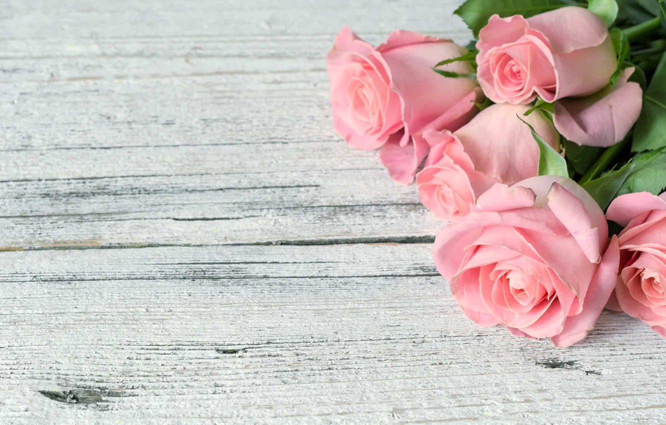 Фото обои цветы, розы, букет, розовые, wood, pink, flowers, roses