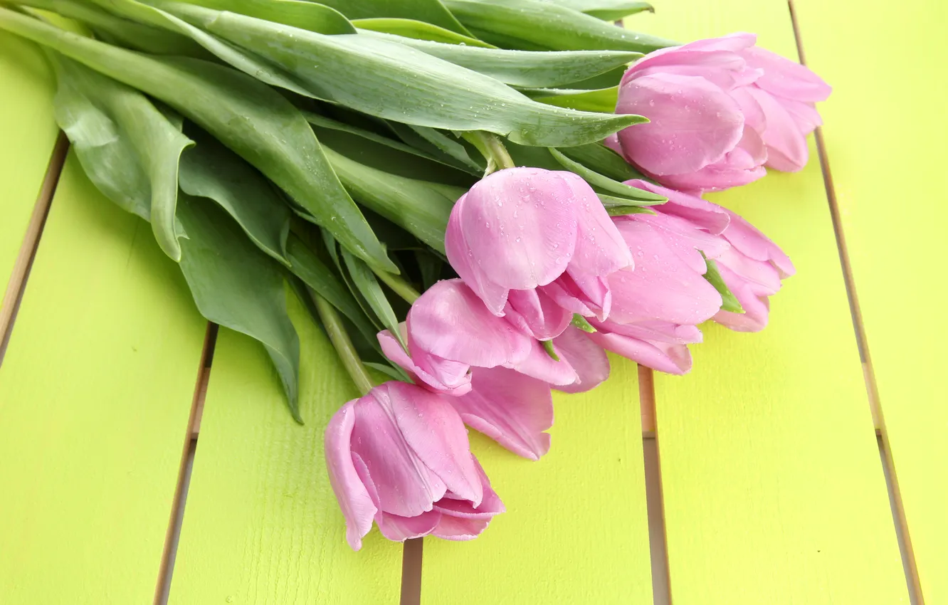 Фото обои цветы, букет, тюльпаны, wood, pink, flowers, tulips, spring