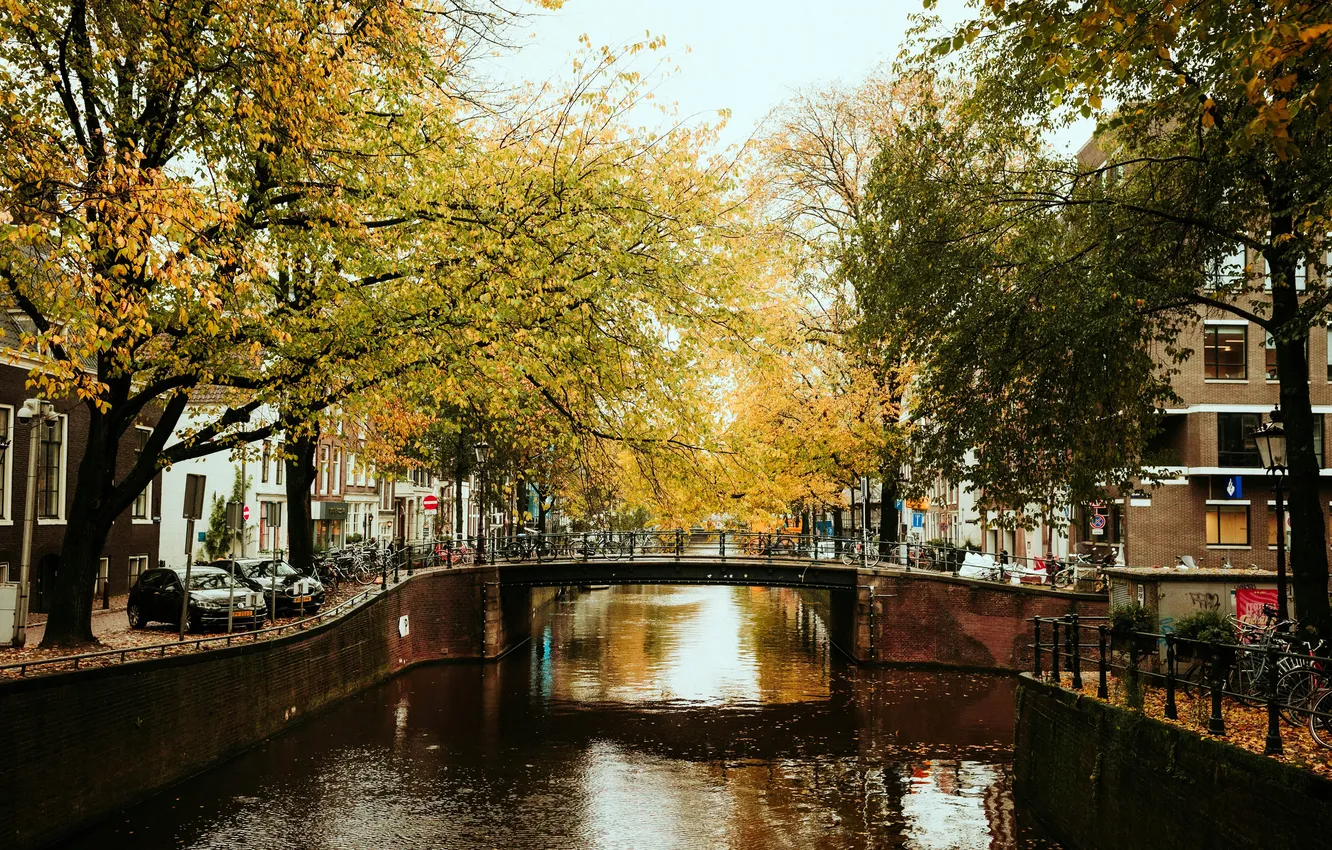 Фото обои Мост, Город, Осень, Река, Амстердам, Нидерланды, Amsterdam, Autumn