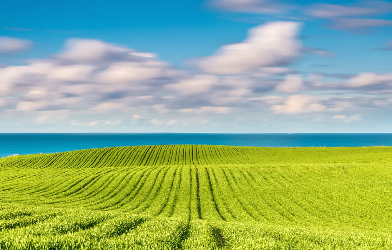 Фото обои поле, весна, Май, Балтийское море