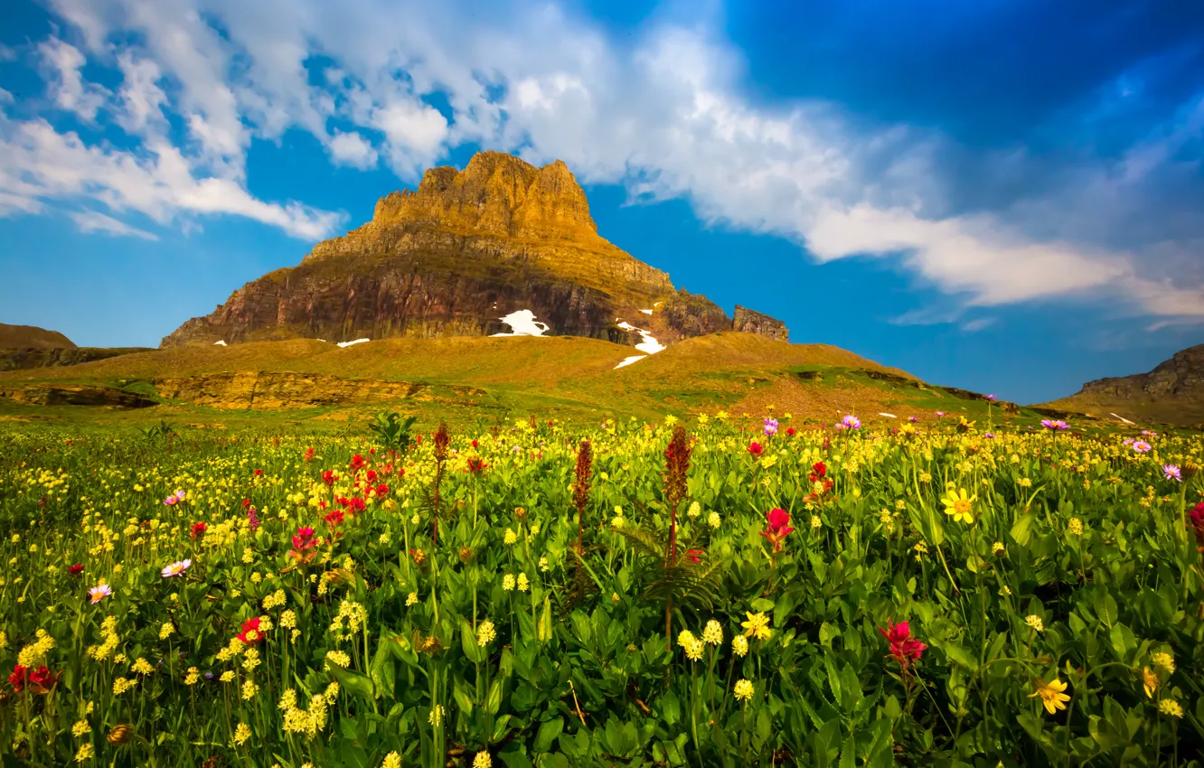 Фото обои небо, облака, цветы, растения, Гора, долина