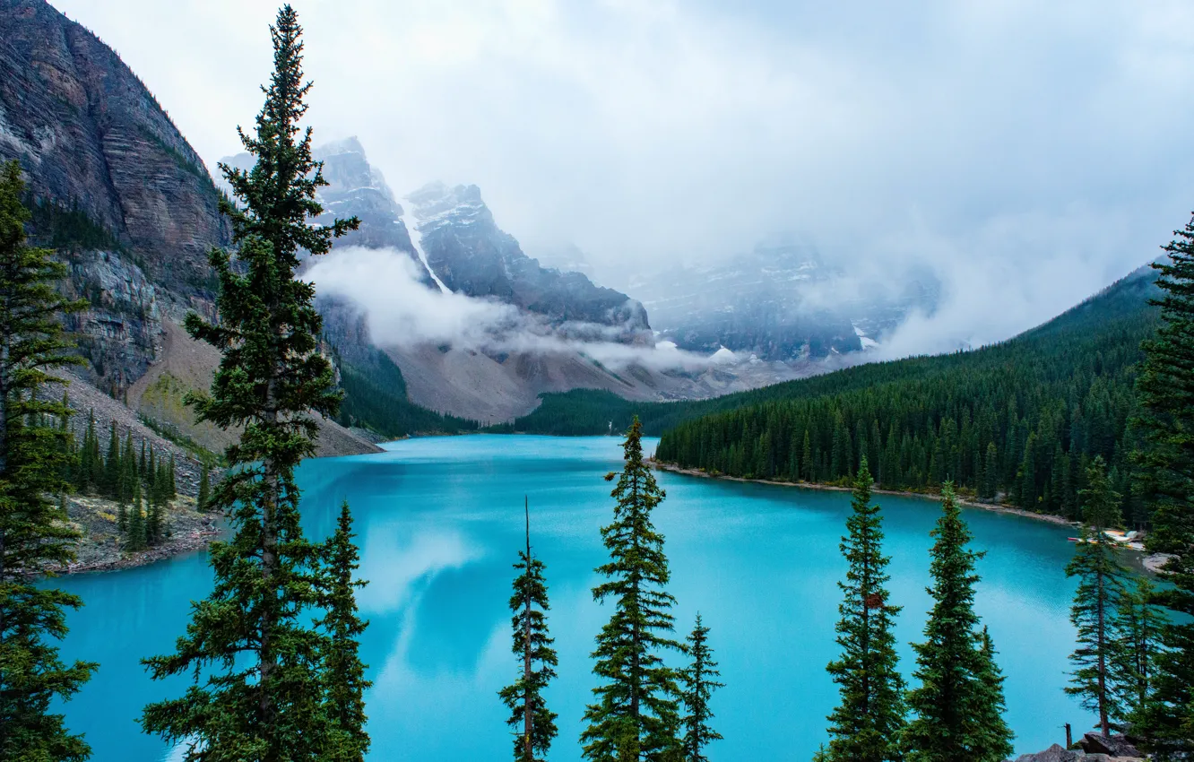 Фото обои лес, горы, озеро, берег, ели, Канада, Альберта